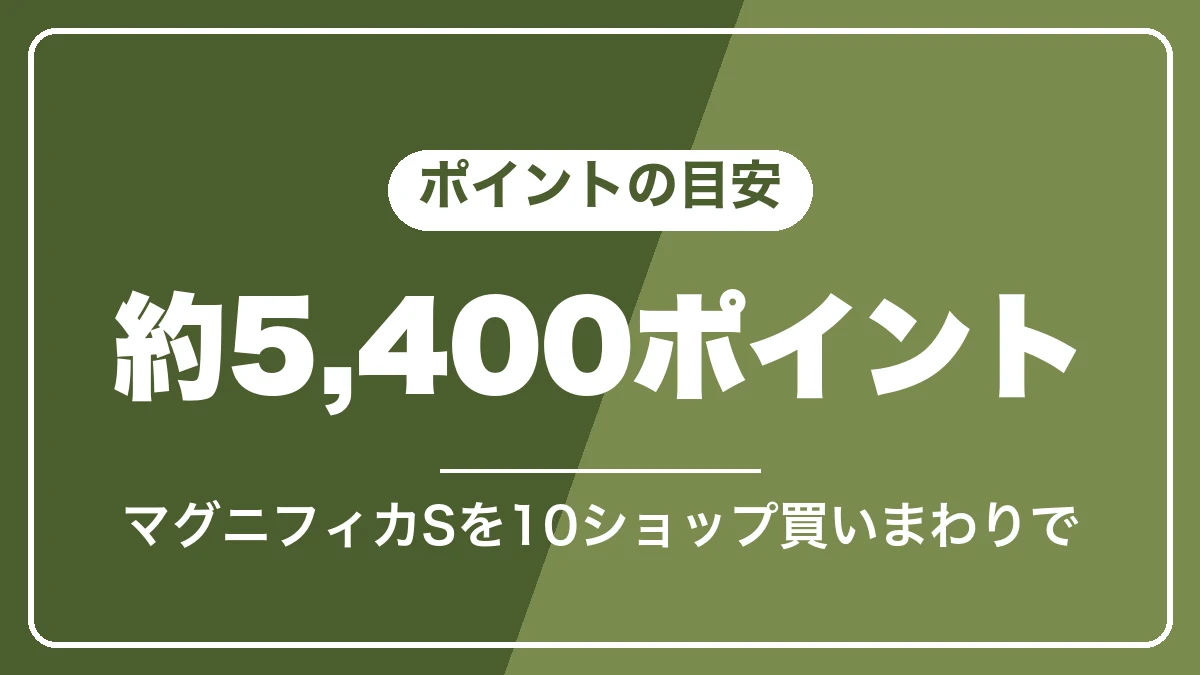 マグニフィカSを10ショップ買いまわりで買ったときのポイントの目安