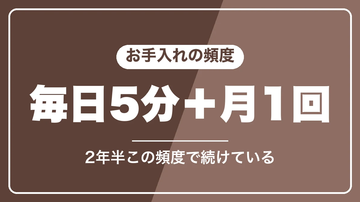 マグニフィカSのお手入れは毎日5分と月1回