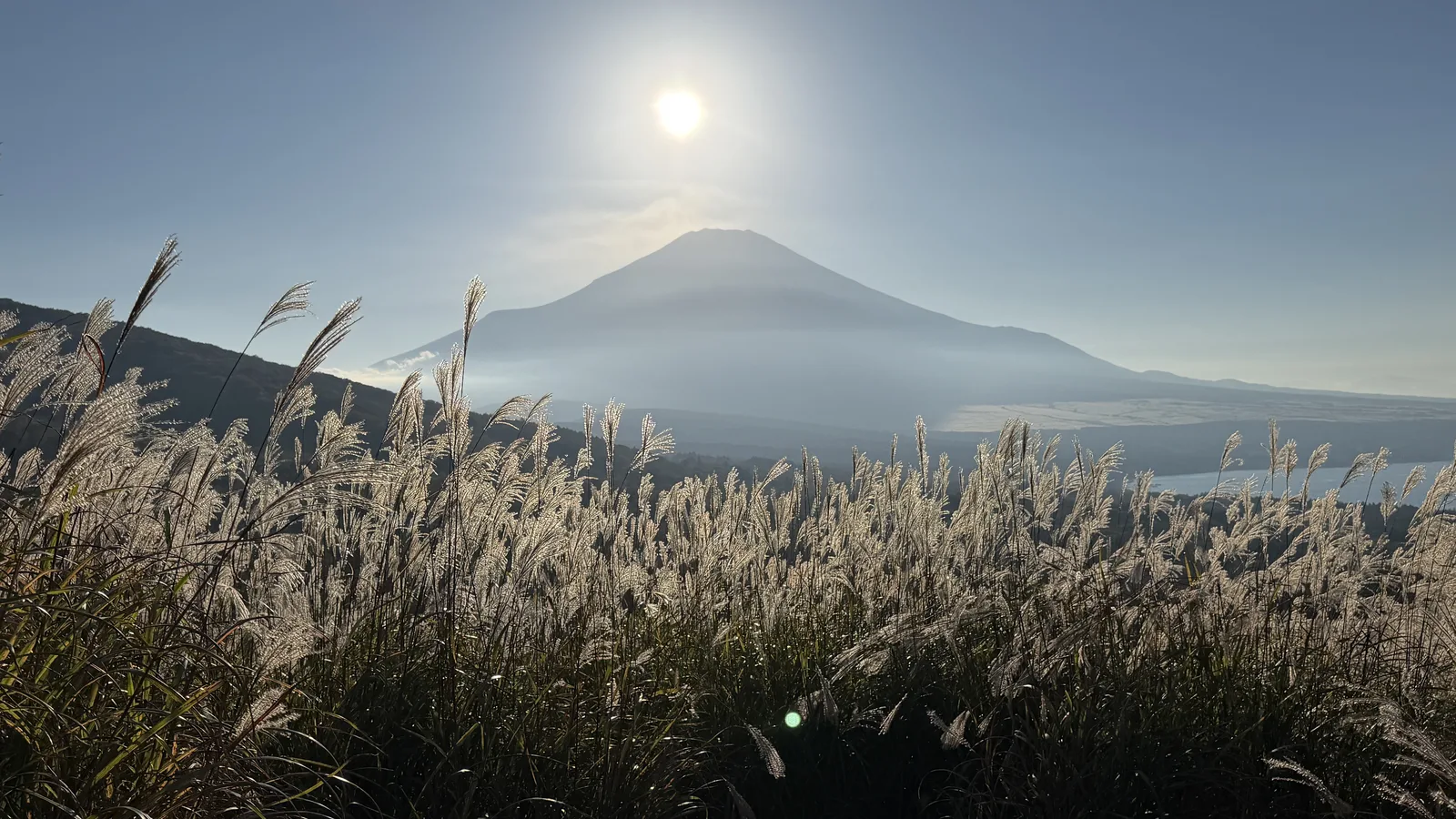 山中湖から見た富士山とすすき