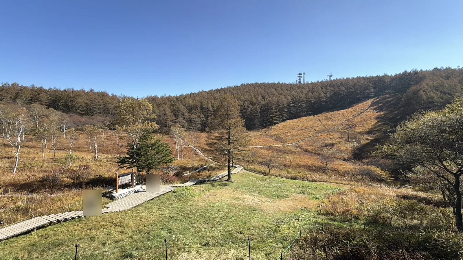 入笠山の入笠湿原と木道