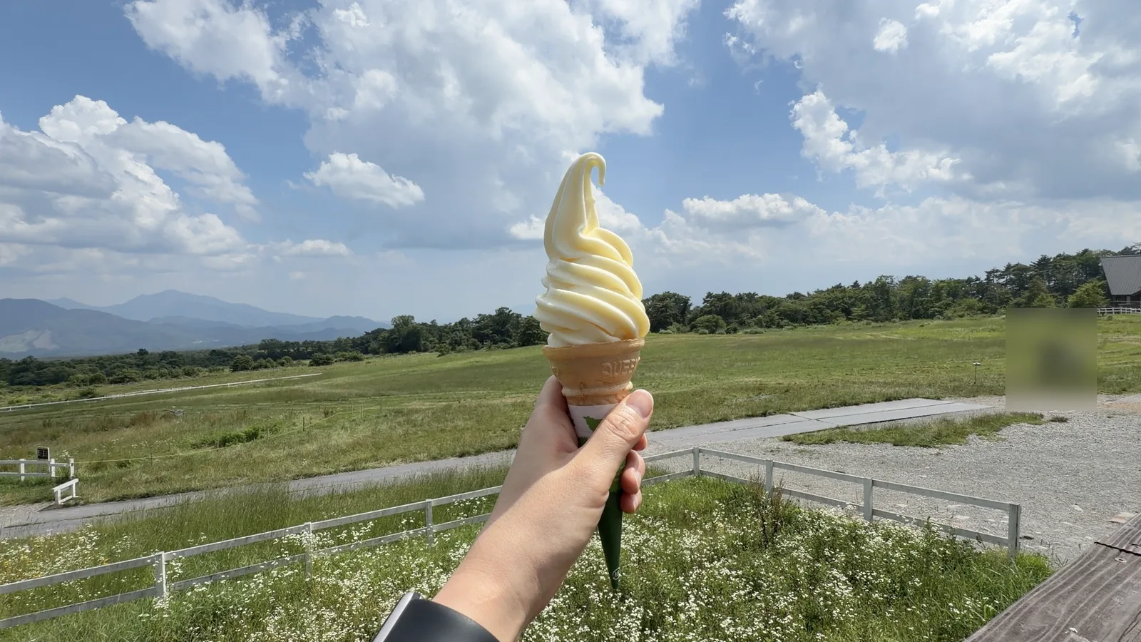 夏に清泉寮で食べたソフトクリーム