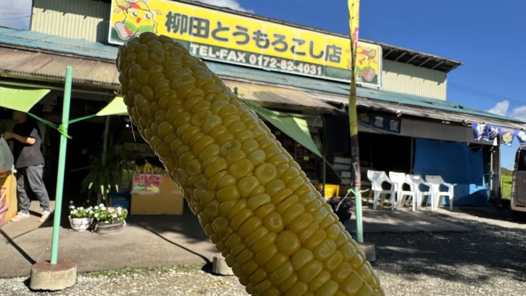 柳田とうもろこし店の嶽きみ